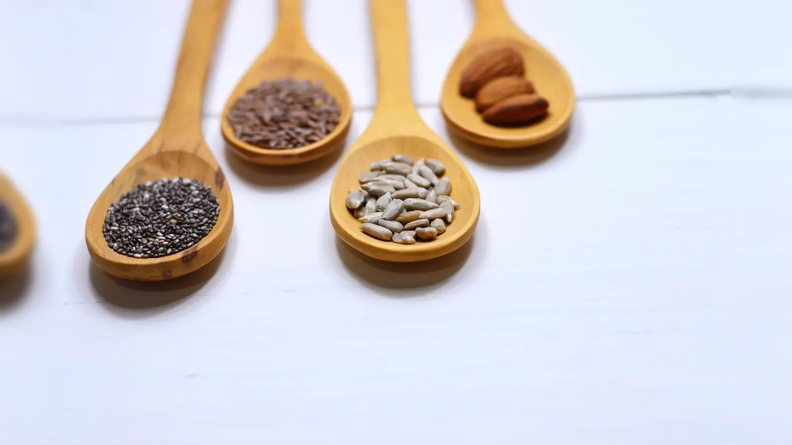 Eine Palette alter und samenfester Kultursorten und ein buntes Rahmenprogramm erwartet die Besucher beim Saatgut-Festival im Ökologischen Bildungszentrum. (Foto: CC0)