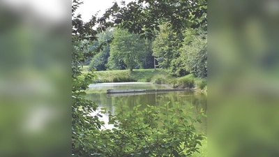 Ruhig und friedlich! Bald soll in Kirchberg ein neuer Freizeitbereich im Ortsteil Thal entstehen.	 (Foto: kw)