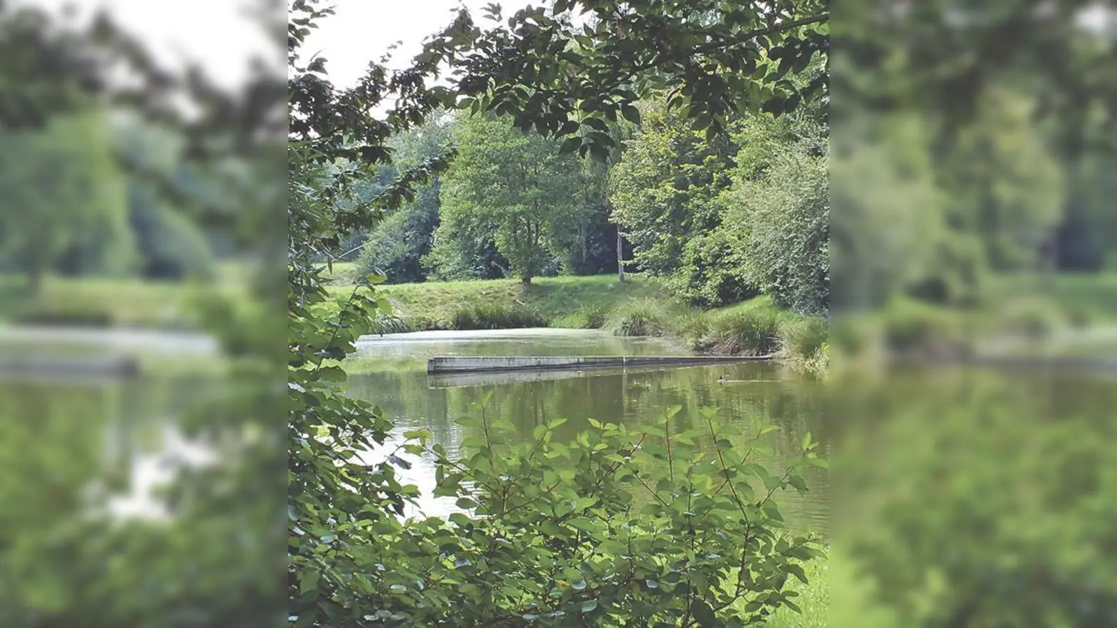 Ruhig und friedlich! Bald soll in Kirchberg ein neuer Freizeitbereich im Ortsteil Thal entstehen.	 (Foto: kw)