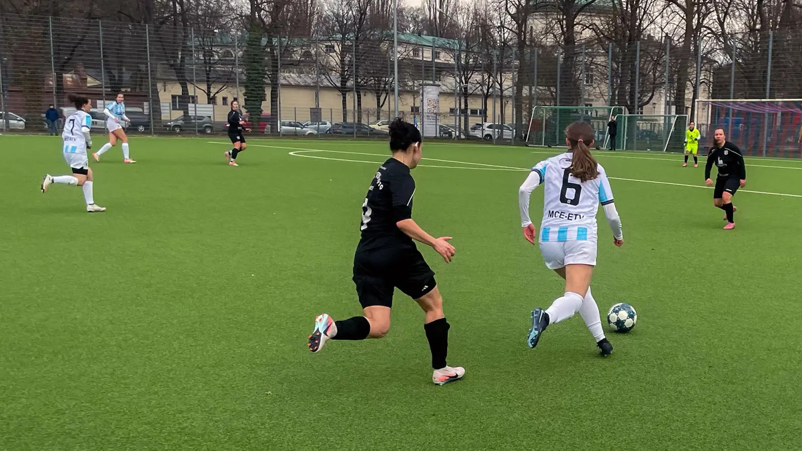 Klare Sache: Löwinnen gegen Sterne. (Foto: Alfons Seeler)