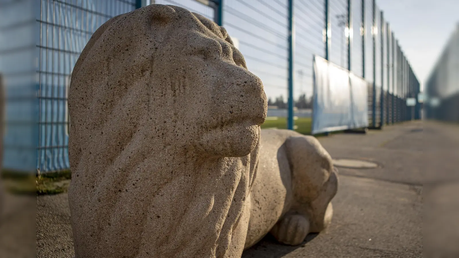 Aus Liebe zu den Löwen: »UF60-Cup«. (Foto: Anne Wild)