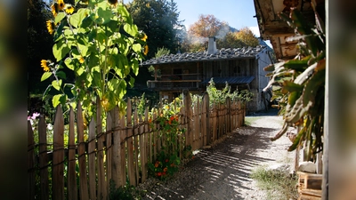 Bauerngarten in goldenem LIcht. (Foto: Markus Wasmeier)