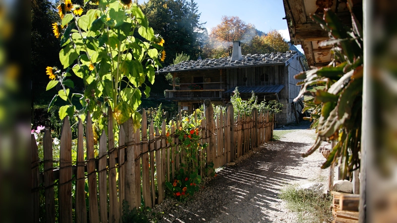 Bauerngarten in goldenem LIcht. (Foto: Markus Wasmeier)