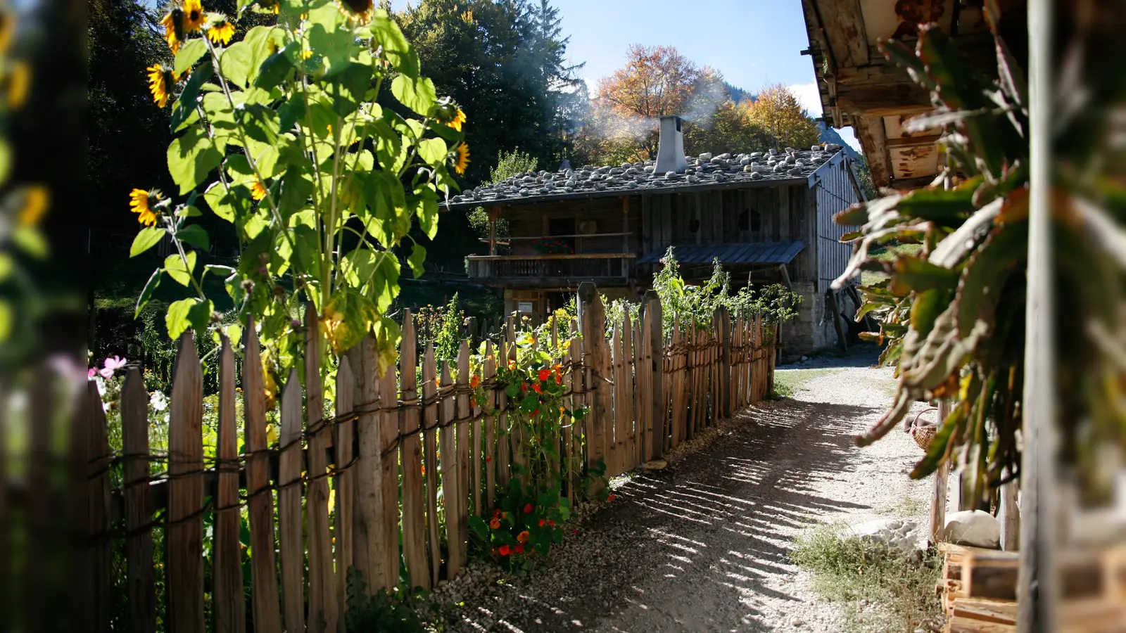 Bauerngarten in goldenem LIcht. (Foto: Markus Wasmeier)