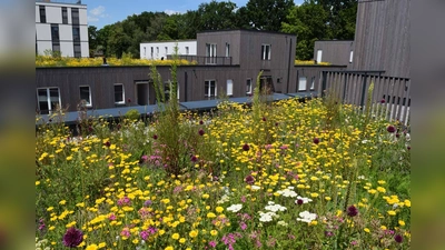 Die Stadt Weilheim i.OB fördert durch die Gewährung von Zuschüssen Maßnahmen zur Dachbegrünungen.  (Foto: Bundesverband GebäudeGrün e. V.)