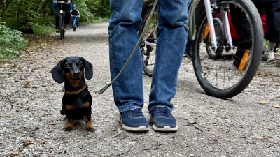 Der Bezirksausschuss 21 plädiert für ein gutes Miteinander im Stadtpark und stellt sich gegen eine Anleinpflicht. (Foto: Ulrike Seiffert)