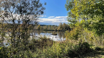 Besonders schützenswert: Das Weilheimer Moor im Madenbergweg 4.  (Foto: Greensurance Stiftung, Für Mensch und Umwelt gGmbH)