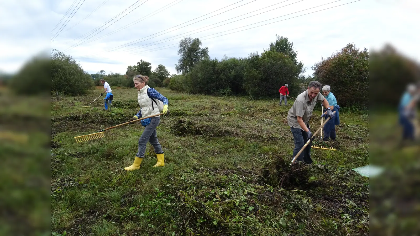 Pflege von Naturschutzgebieten (Archivbild) wie hier im Süden des Landkreises geht nur in Gruppen. Ein Verbot hätte drastische Auswirkungen auf den Naturhaushalt. (Foto: kk)