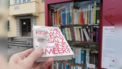 Mit einem Schlag berühmt: Brigitte Schwaigers Erstlingswerk im Großhaderner Bücherschrank. (Foto: job)