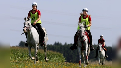Erfolgreiche Reiterinnen:Alessia Dollinger, Emily Schelldorf und Merle Röhm (v. li.). (Foto: Holger Kopf)
