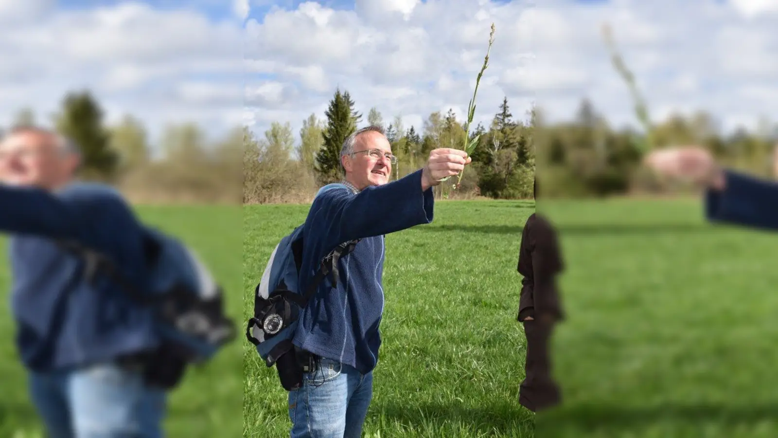 Das vermeintliche Unkraut ist ein schmackhaftes Pflänzlein. Auf Tour mit Kräuterkenner Thomas Lenz. (Foto: Hauck)