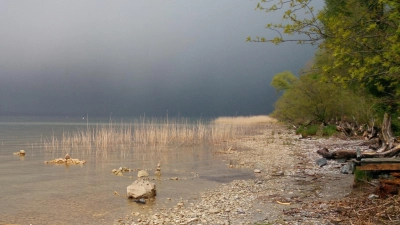 Das Ammerseeufer in Wartaweil. Bernhard Ernst referiert darüber, wie sich der See in den vergangenen Jahrzehnten verändert hat. (Foto: Barbara Blankenburg)