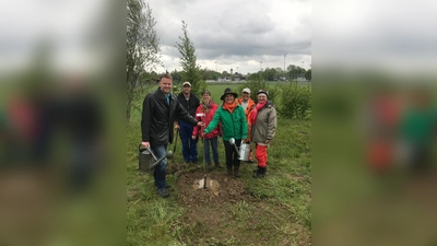 Die Ortsgruppe Forstinning Bund Naturschutz hat zusammen mit der Gemeinde Forstinning einen lebendigen Maibaum gepflanzt. (Foto: BN)