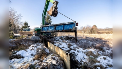 Gesundwerden neben der Autobahn: Das Mörlbacher Moor entlang der A95 wird renaturiert. (Foto: LRA Starnberg)