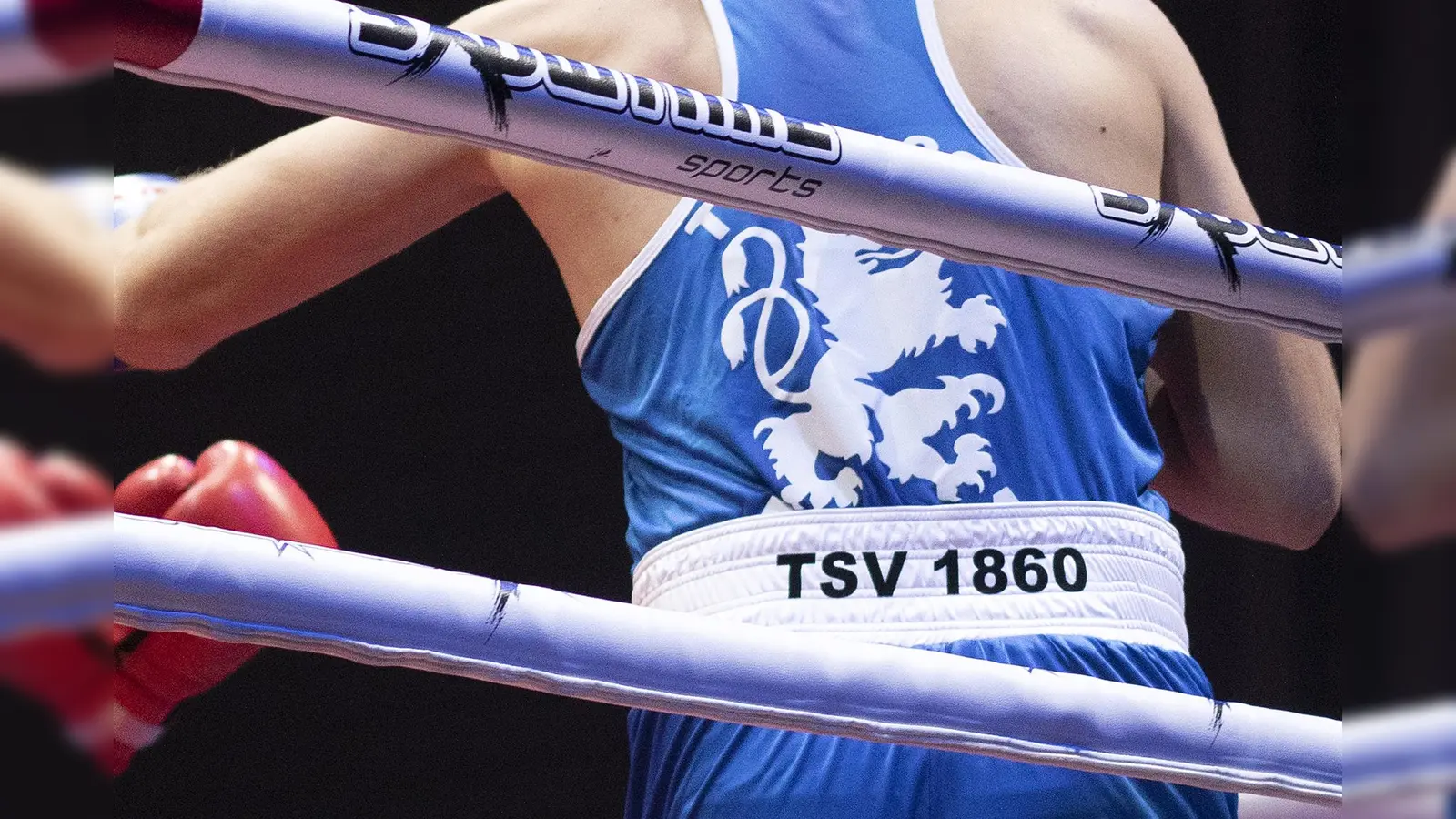 Erfolgreich: Boxsport beim TSV 1860 München. (Foto: Löwen im Ring.)
