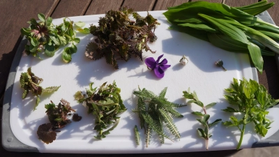 Viele Wildkräuter sind nicht nur gesund, sondern auch schmackhaft. (Foto: hw)
