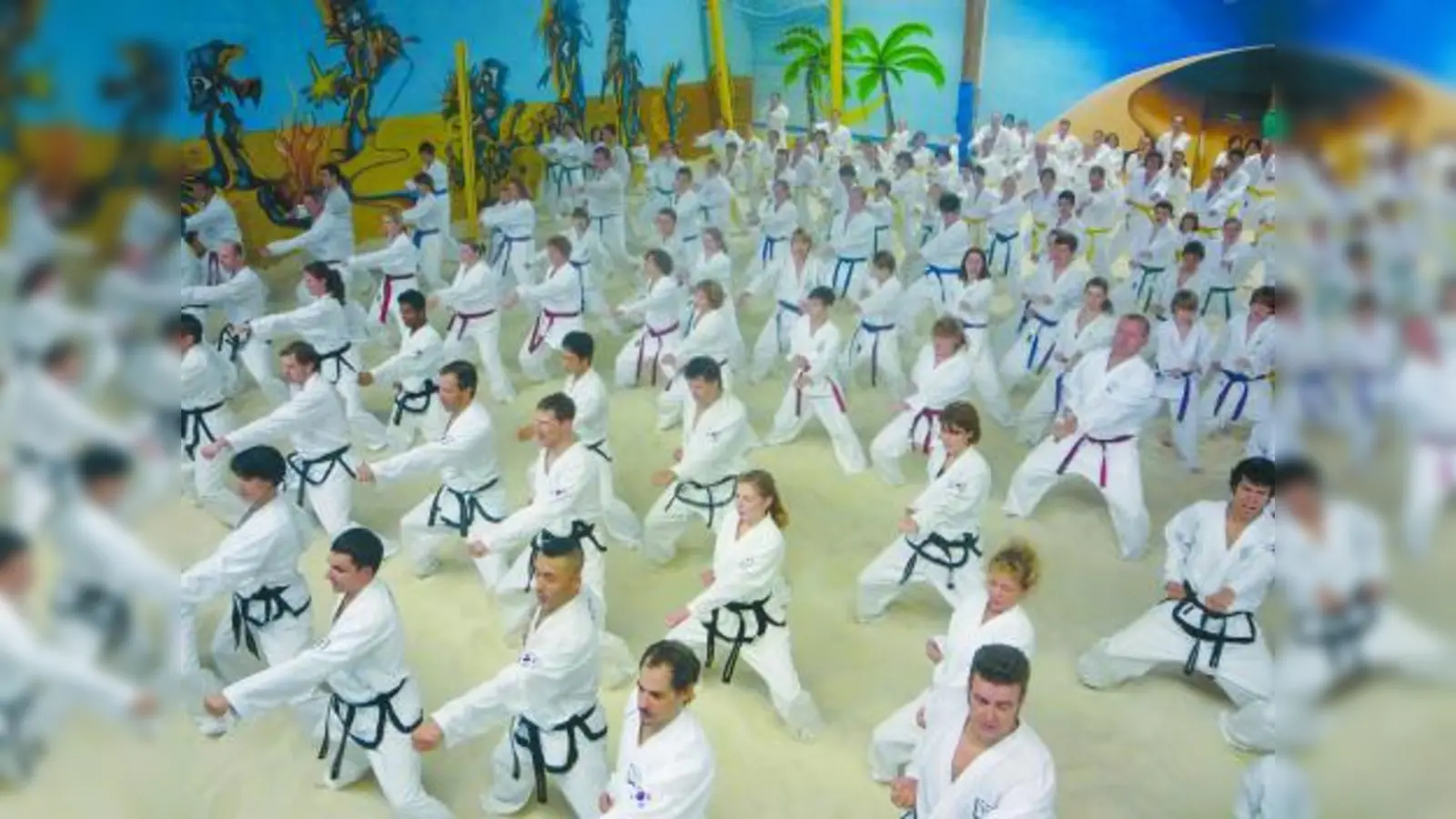 Über 300 Teilnehmer nahmen am TWIN Taekwondo Beach-Lehrgang in Alling teil. (Foto: pi)