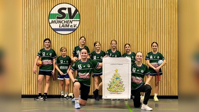 Die Laimer Handballabteilung hat einen&nbsp;Wunschbaum&nbsp;ins Leben gerufen. (Foto: SV Laim)