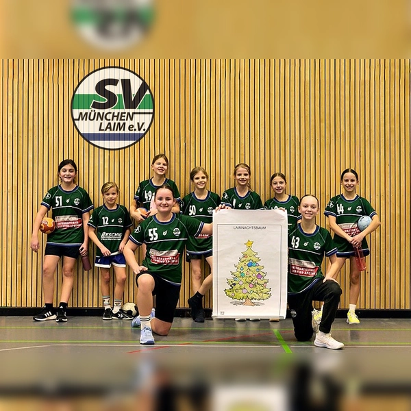 Die Laimer Handballabteilung hat einen&nbsp;Wunschbaum&nbsp;ins Leben gerufen. (Foto: SV Laim)