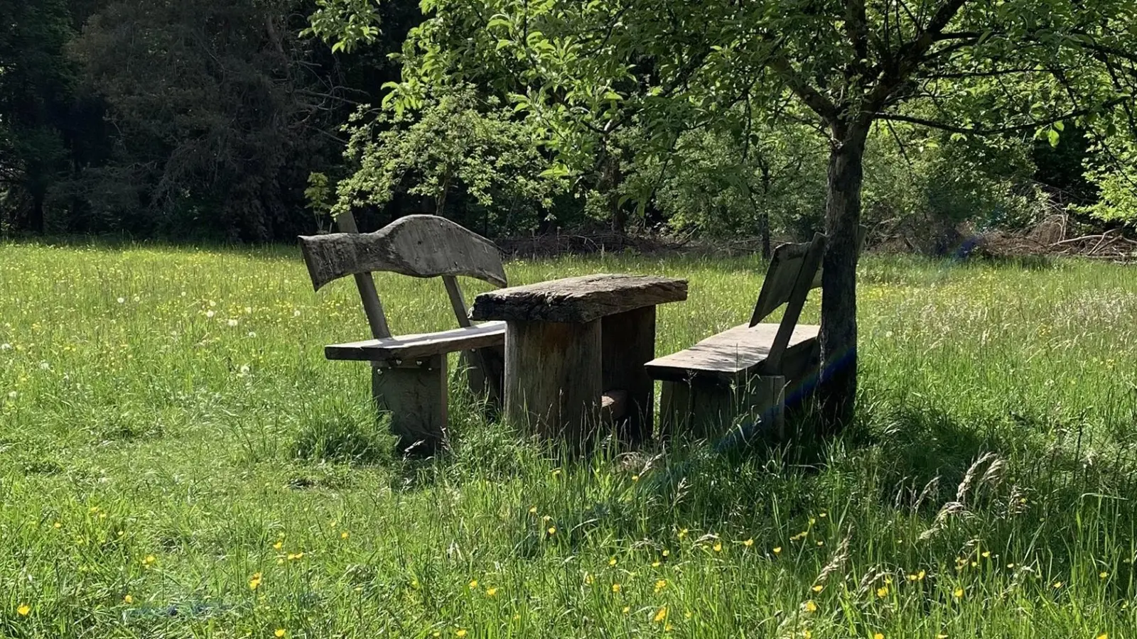 Der Perlacher Forst lädt zum Verweilen ein - auch mit lyrischer Untermalung. (Foto: poesiebriefkasten.de)
