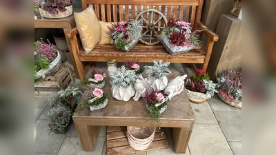 In Blumenläden, Gärtnereien oder bei Ausstellungen kann man schöne Gestecke zum Allerheiligen finden. (Foto: agr)