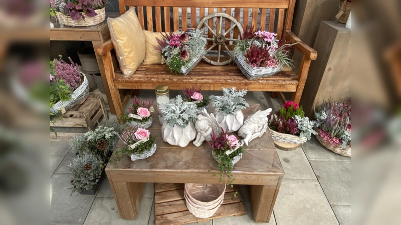 In Blumenläden, Gärtnereien oder bei Ausstellungen kann man schöne Gestecke zum Allerheiligen finden. (Foto: agr)