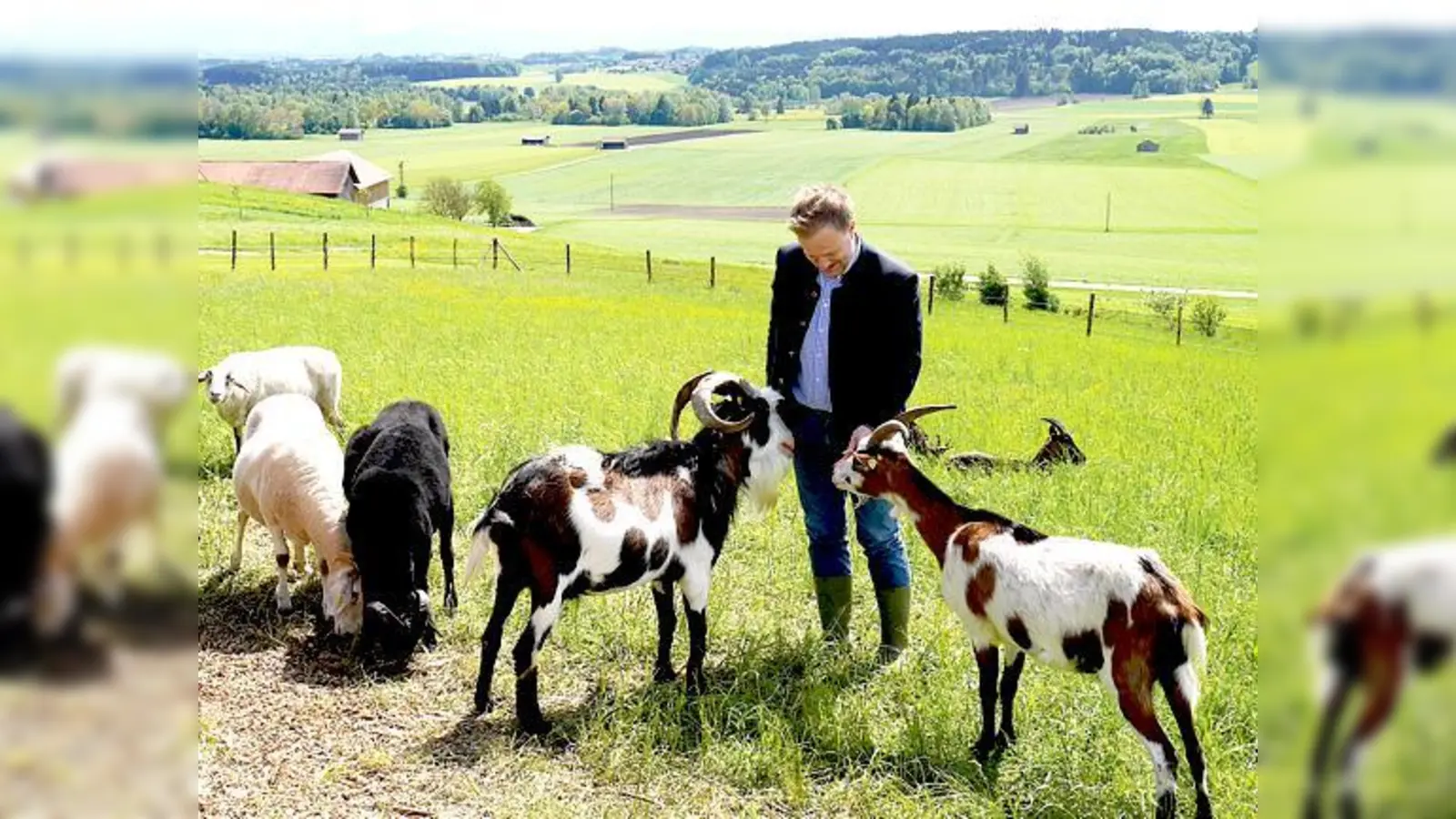 Landrat Robert Niedergesäß schloss bei seiner Naturschutzrundfahrt durch den Landkreis schnell Freundschaft mit dem Tauernschecken Ibo.	 (Foto: E. Schwaiger)