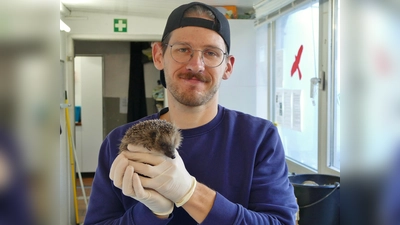 Jacek Nitsch, der Leiter der Wildtierstation, mit einem der vielen geretteten Igel. (Foto: Tierschutzverein München e.V.)