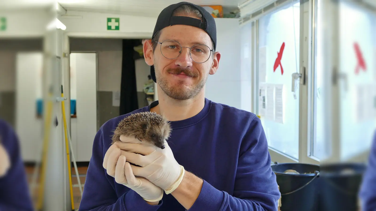 Jacek Nitsch, der Leiter der Wildtierstation, mit einem der vielen geretteten Igel. (Foto: Tierschutzverein München e.V.)