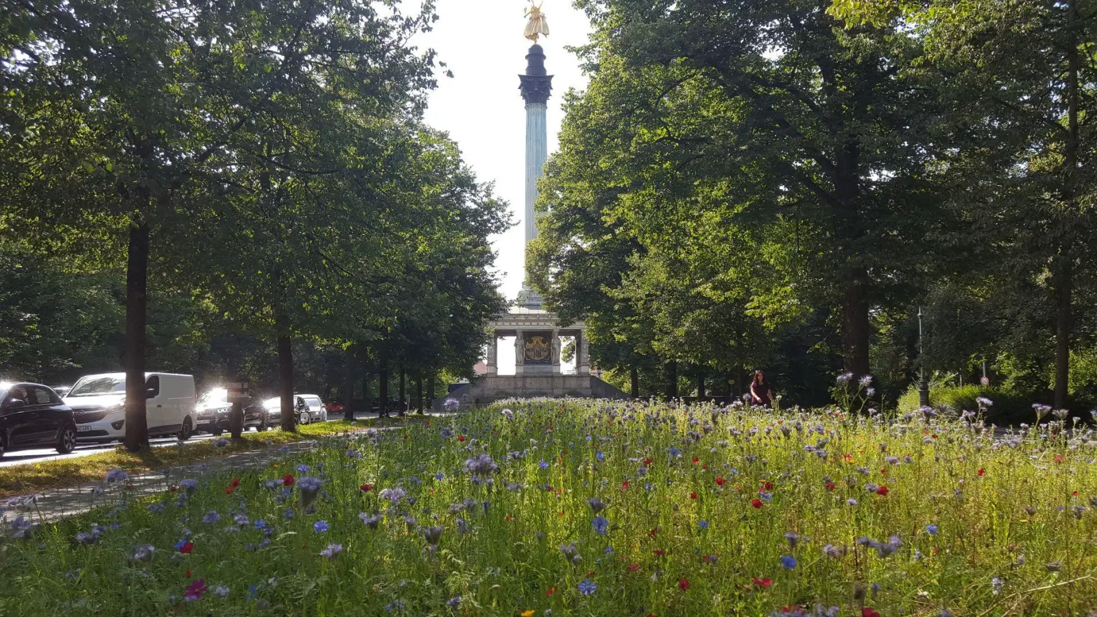 Aus dem eintönigen Rasen vor dem Friedensengel ist eine blühende Bienenweide geworden. Dies hatte die SPD im Bezirksausschuss Au-Haidhausen beantragt. (Foto: Peter Martl)