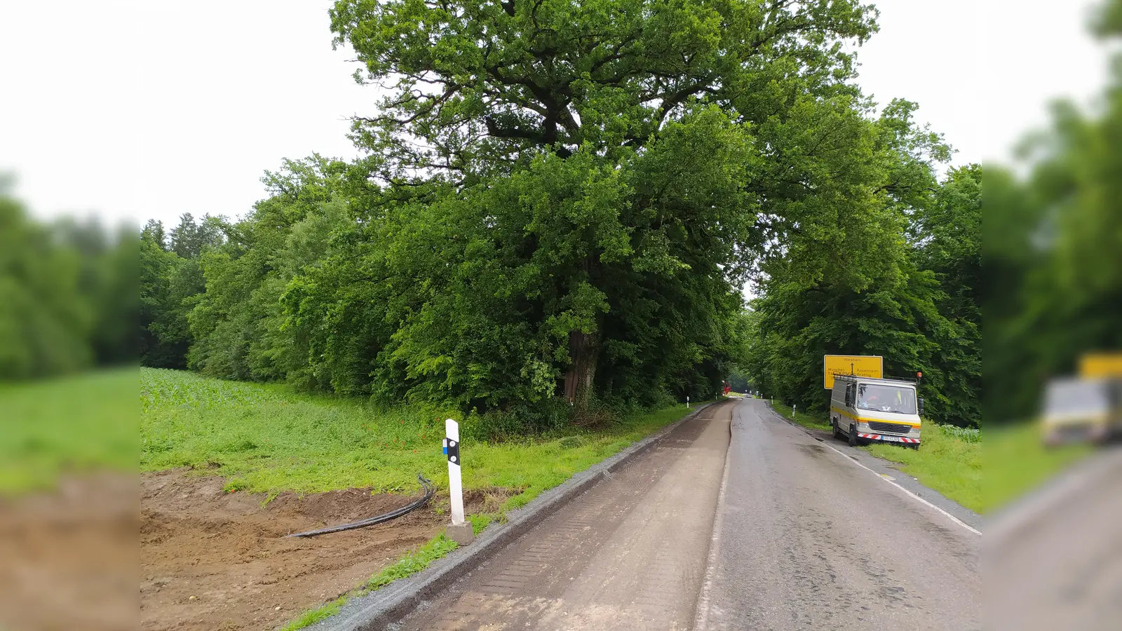 Unter anderem die 300 Jahre alte Eiche links im Bild muss im Zuge des Ausbaus der EBE 8 Seeschneid-Nettelkofen gefällt werden. Das Landratsamt sieht keinen Ausweg, prüft aber alle Alternativen. (Foto: Stefan Dohl)