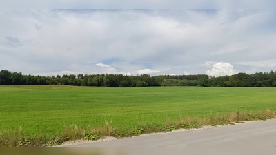 In Grafing wird derzeit über den Bau einer Windkraftanlage diskutiert.  (Foto: Günter Bau)