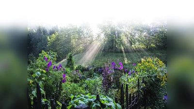 Sonnenstrahlen vertreiben die Eisheiligen.  (Foto: Markus Wasmeier)