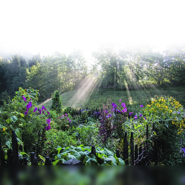 Sonnenstrahlen vertreiben die Eisheiligen.  (Foto: Markus Wasmeier)