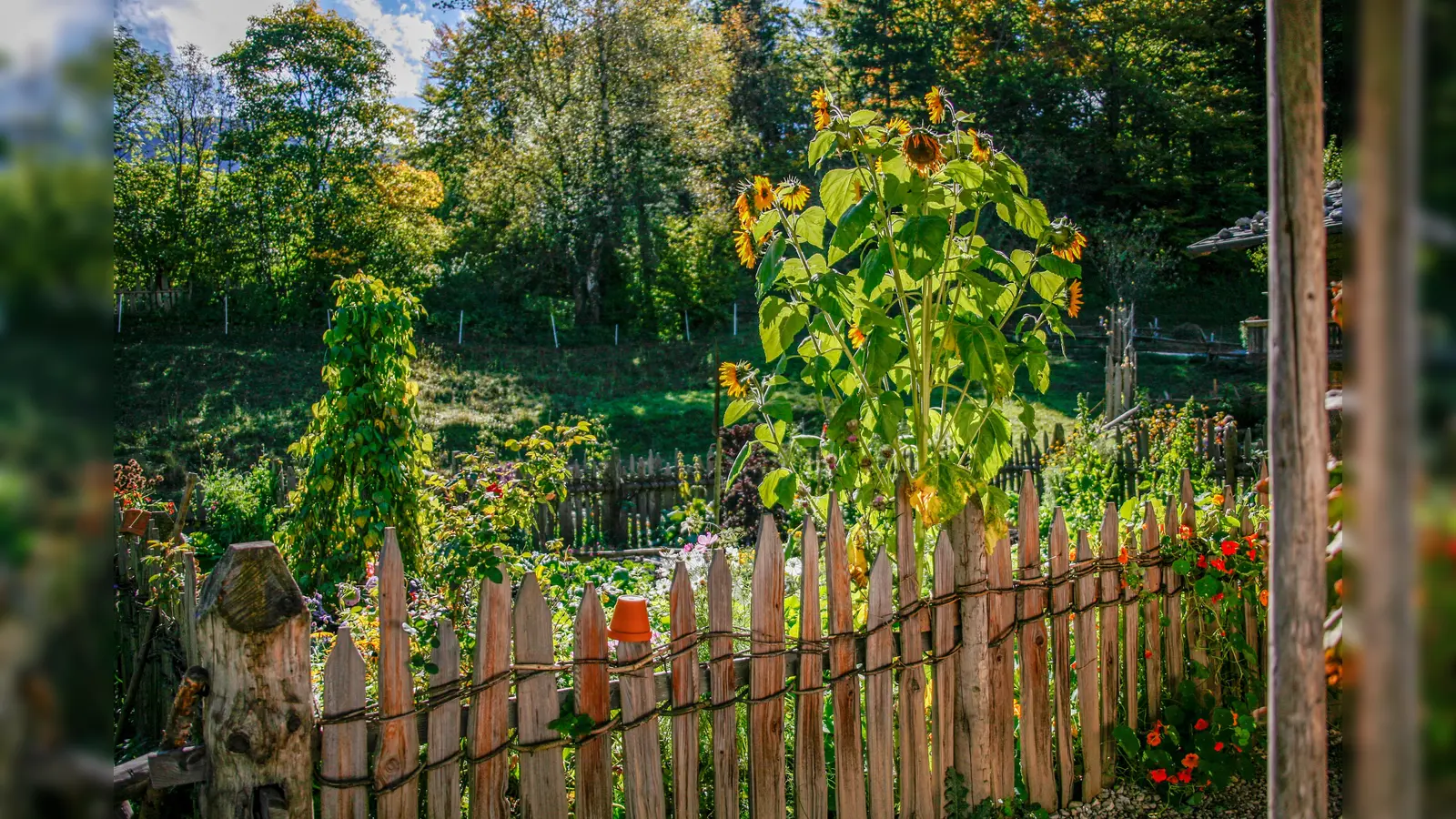 Die letzte Farbenpracht genießen. (Foto: Markus Wasmeier)