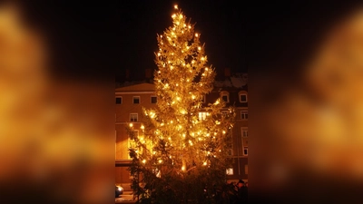 Am Herzog-Ernst-Platz leuchtet seit einer Woche ein Weihnachtsbaum. (Foto: job)