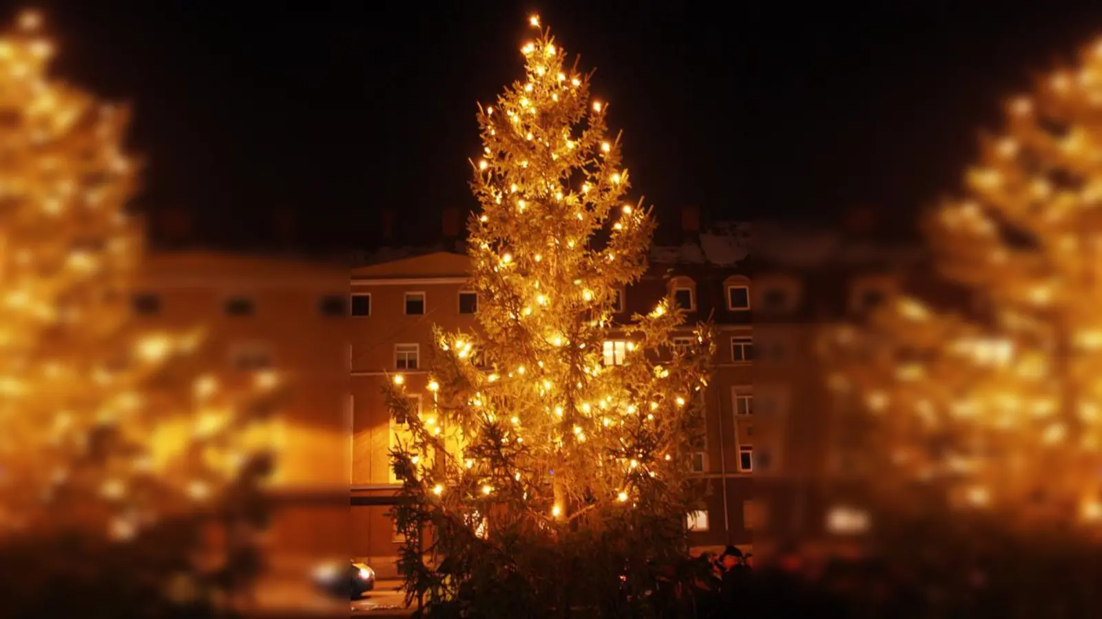 Am Herzog-Ernst-Platz leuchtet seit einer Woche ein Weihnachtsbaum. (Foto: job)