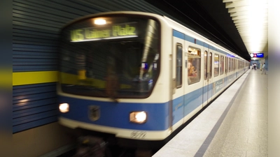 Ab den 30er Jahren wird nicht mehr der „Laimer Platz“, sondern Pasing die Endstation der U5 sein. Dazwischen wird sie am neuen U-Bahnhof in Laim halten, der „Baumschule Laim“ heißen soll. (Foto: Beatrix Köber)