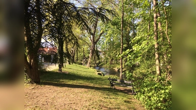 Ismaning hat viele grüne Ecken, Umwelt und Nachhaltigkeit werden in der Gemeinde groß geschrieben. Aktuelles Ziel ist es, Fairtrade Town zu werden. (Foto: Daniel Mielcarek)