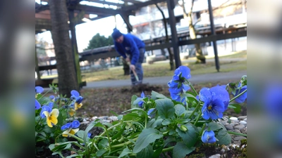 Blumen und mehr: Im Kieferngarten ist die Aufenthaltsqualität nun deutlich besser. (Foto: VA)