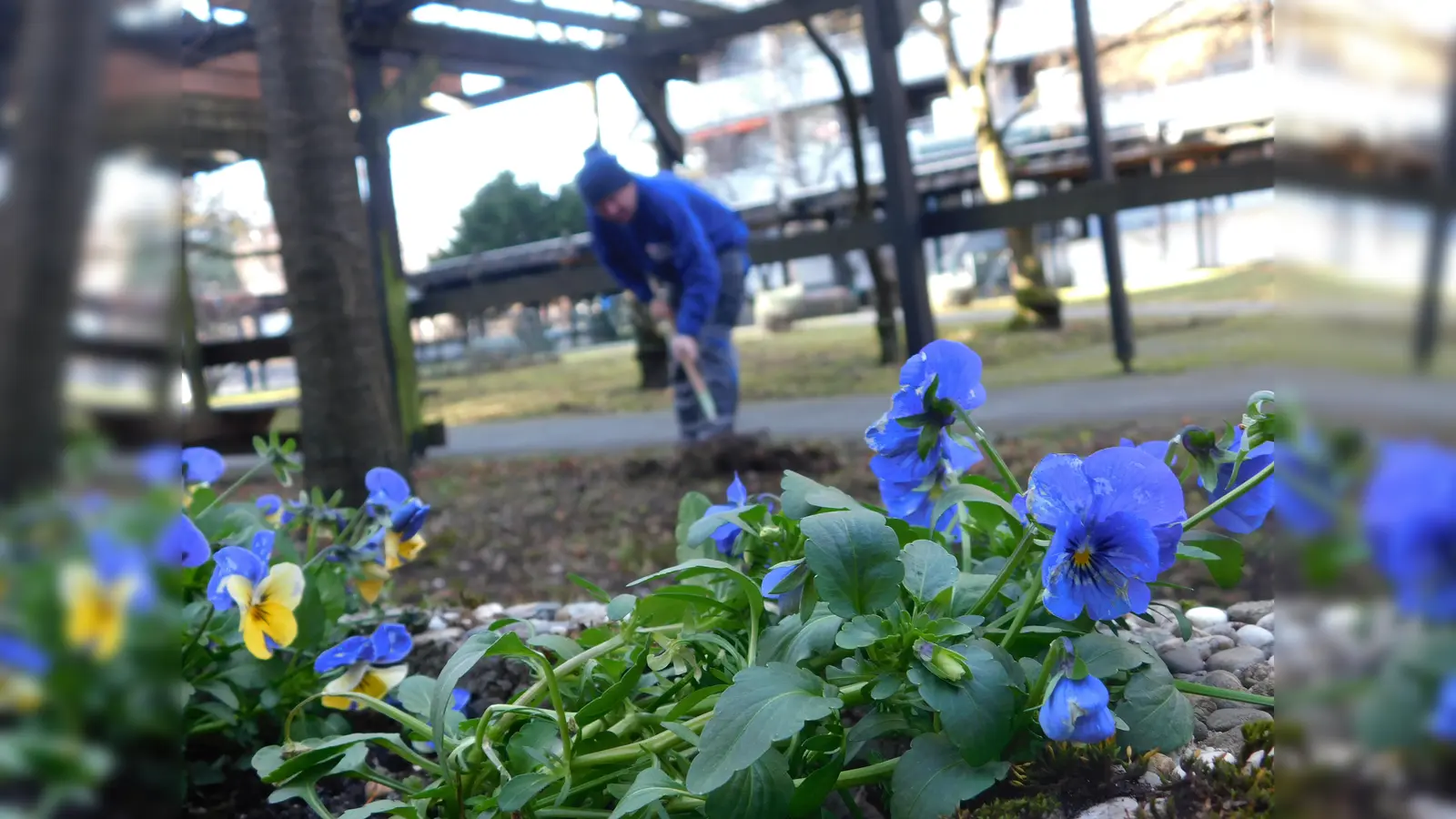 Blumen und mehr: Im Kieferngarten ist die Aufenthaltsqualität nun deutlich besser. (Foto: VA)