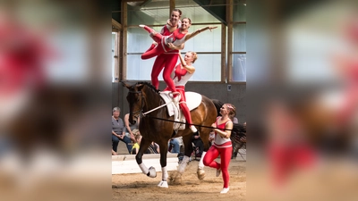 Am Wochenende ist mächtig was geboten auf dem Gelände des Voltigiervereines Ingelsberg. (Foto: Jutta Wolf)