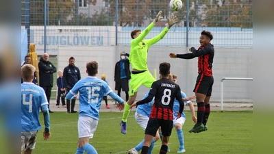 Weiter ungeschlagen: U17-Junglöwen. (Foto: TSV 1860 München)