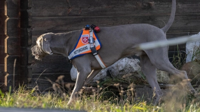 Zum dreitägigen Symposium für Rettungshundeteams wurde in die Stadthalle Germering eingeladen. (Foto: Stefan Vogel)