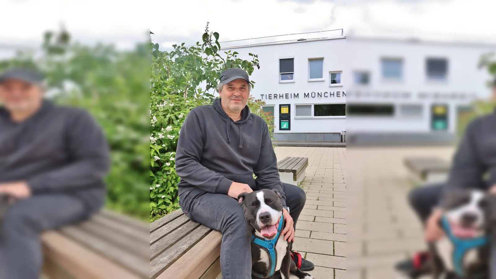 Claus Perchtinger, stellv. Vorsitzender des Tierschutzvereins, liegen die Listenhunde besonders am Herzen. (Foto: Tierschutzverein München e.V.)
