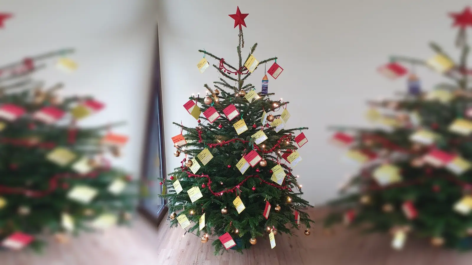 Bei der Wunschbaumaktion der AWO Germering können sich Seniorinnen und Senioren Wünsche erfüllen lassen. (Foto: red)