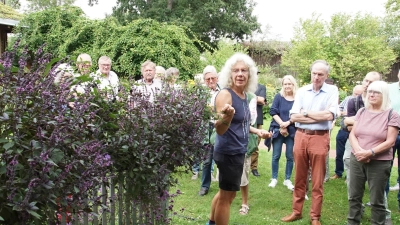 Karin Kell vor einem lila Strauch-Basilikum - nicht nur für den Genuss mit Tomaten perfekt geeignet, auch ein extremer Bienen-Magnet. (Foto: bro)