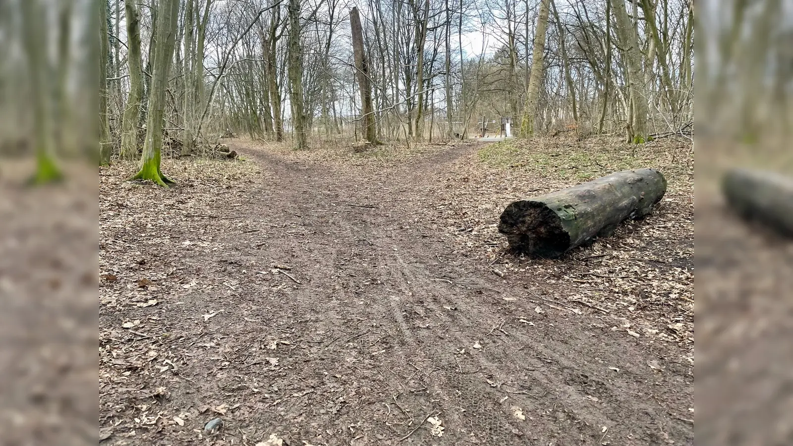 Rund um den Waldspielplatz sind die Wege besonders breit ausgetreten. (Foto: bb)