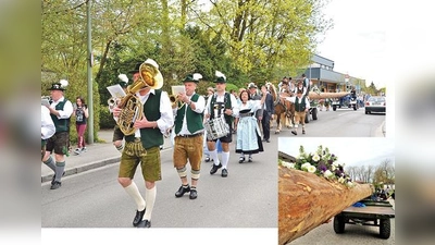 Die Schützengesellschaft Gemütlichkeit Daglfing e.V. holte am Sonntag den Maibaum ein und brachte ihn zu seinem Lagerplatz an die Küstnerstraße. 	 (Foto: VA, ahi)