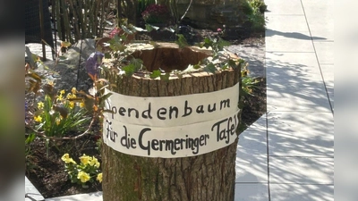 Die Dorffrauen Oberpfaffenhofen haben Spenden für die Germeringer Tafel gesammelt. (Foto: Dorffrauen Unterpfaffenhofen)